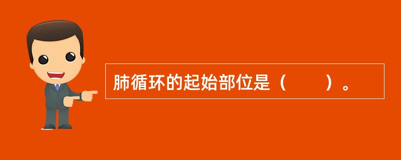 肺循环的起始部位是（　　）。