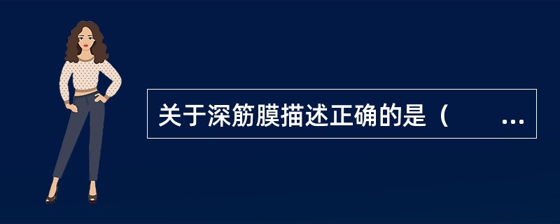 关于深筋膜描述正确的是（　　）。