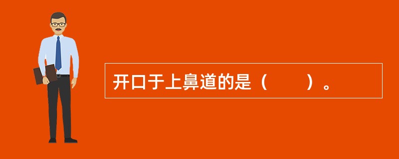 开口于上鼻道的是（　　）。