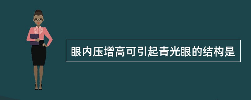 眼内压增高可引起青光眼的结构是
