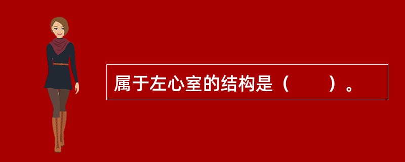 属于左心室的结构是（　　）。