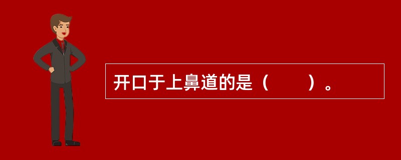 开口于上鼻道的是（　　）。
