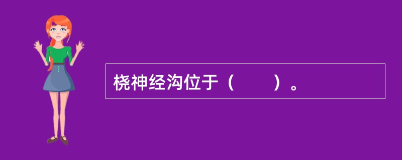 桡神经沟位于（　　）。