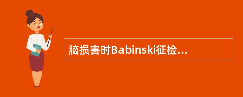 脑损害时Babinski征检查阴性，其损害应在（　　）。