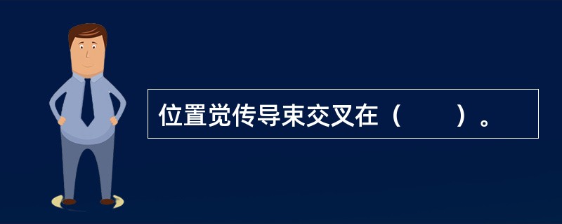 位置觉传导束交叉在（　　）。