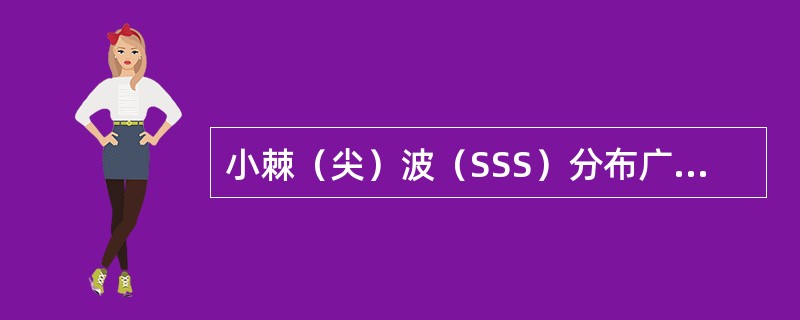 小棘（尖）波（SSS）分布广泛，在双侧半球（　　）。