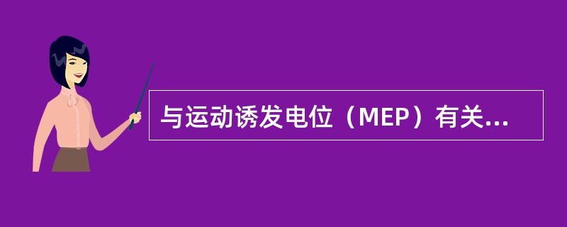 与运动诱发电位（MEP）有关的神经纤维是（　　）。