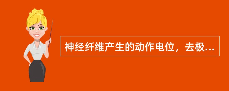 神经纤维产生的动作电位，去极相的顶点是（　　）。