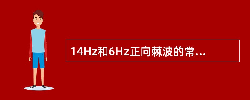 14Hz和6Hz正向棘波的常见部位为（　　）。