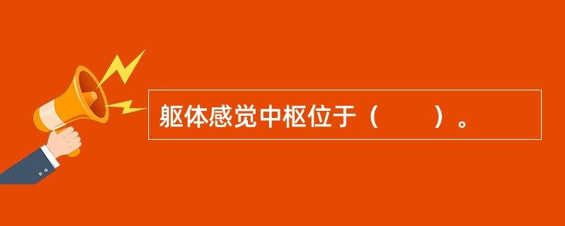 躯体感觉中枢位于（　　）。