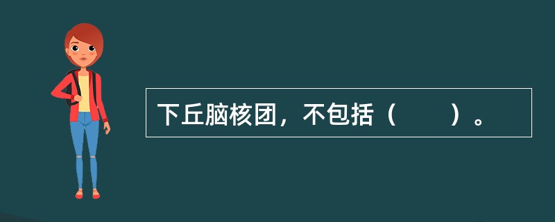 下丘脑核团，不包括（　　）。