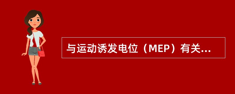 与运动诱发电位（MEP）有关的神经纤维是（　　）。