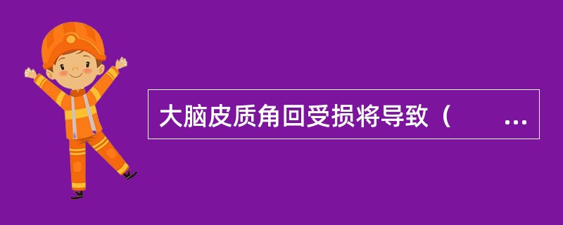 大脑皮质角回受损将导致（　　）。