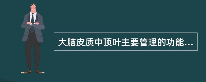 大脑皮质中顶叶主要管理的功能是（　　）。