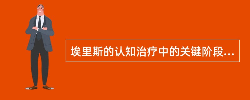 埃里斯的认知治疗中的关键阶段是（）