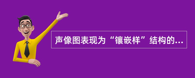 声像图表现为“镶嵌样”结构的实性占位性病变一般是指