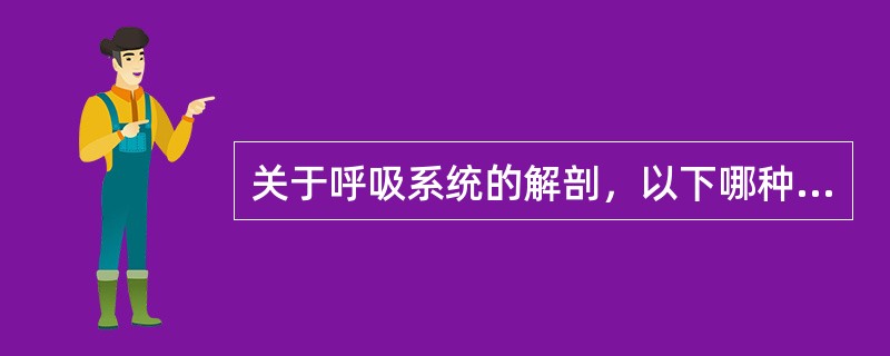 关于呼吸系统的解剖，以下哪种说法是不正确的