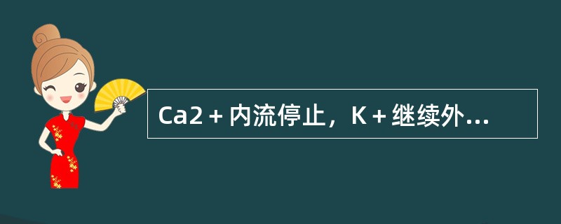 Ca2＋内流停止，K＋继续外流形成3相，代表（　　）。