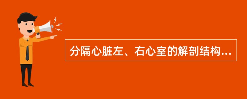 分隔心脏左、右心室的解剖结构是（　　）。