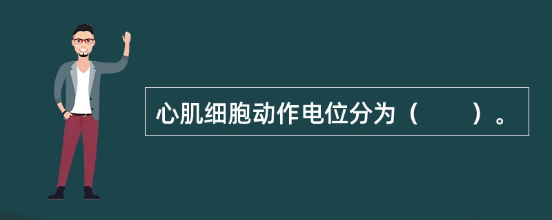 心肌细胞动作电位分为（　　）。