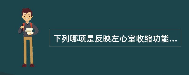 下列哪项是反映左心室收缩功能最常用的指标？（　　）