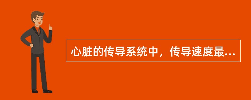 心脏的传导系统中，传导速度最慢的是（　　）。