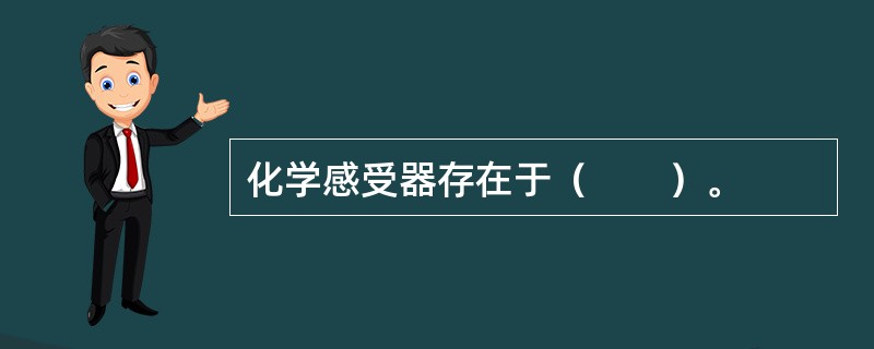 化学感受器存在于（　　）。