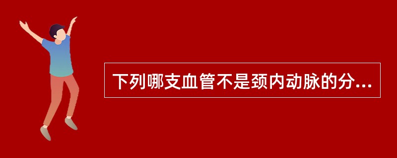 下列哪支血管不是颈内动脉的分支？（　　）