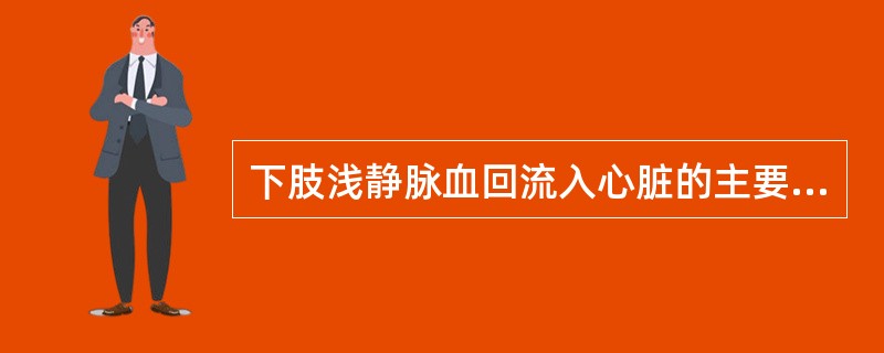 下肢浅静脉血回流入心脏的主要途径是（　　）。