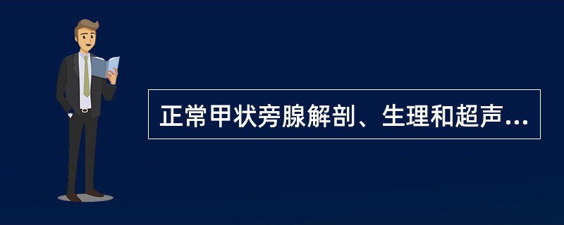 正常甲状旁腺解剖、生理和超声检查中，以下哪一项不正确？（　　）