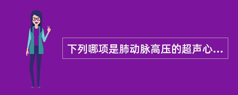 下列哪项是肺动脉高压的超声心动图表现