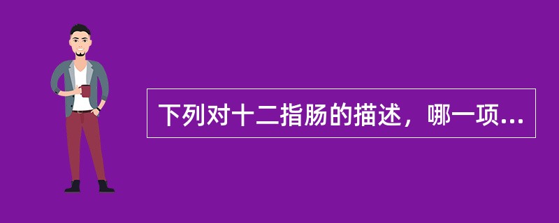 下列对十二指肠的描述，哪一项不正确