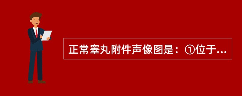 正常睾丸附件声像图是：①位于睾丸上、附睾头下方，附着于睾丸白膜上方；②位于睾丸下、附睾尾下方，附着于睾丸白膜下方；③呈有时带蒂的卵圆形略强于睾丸回声小体，大小0.5cm；④为不带蒂蚕豆形低回声小体，大