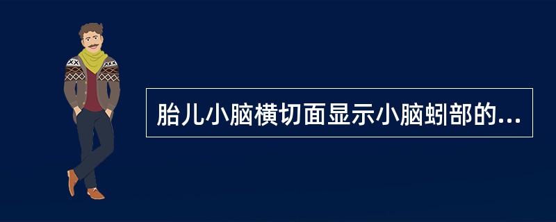 胎儿小脑横切面显示小脑蚓部的前方结构是（　　）。