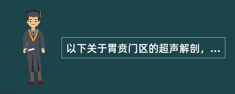 以下关于胃贲门区的超声解剖，错误的是（　　）。