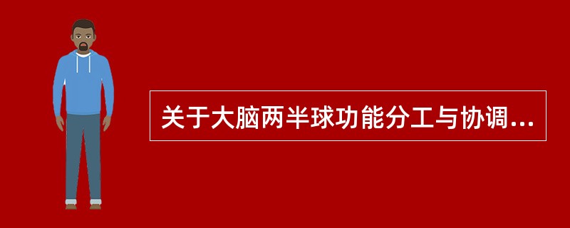 关于大脑两半球功能分工与协调的观点，正确的是