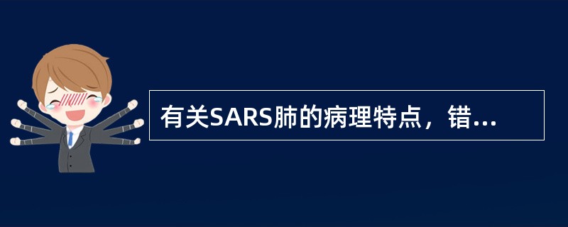 有关SARS肺的病理特点，错误的是（　　）。