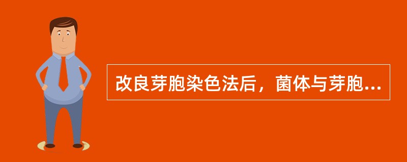 改良芽胞染色法后，菌体与芽胞呈现的颜色分别是