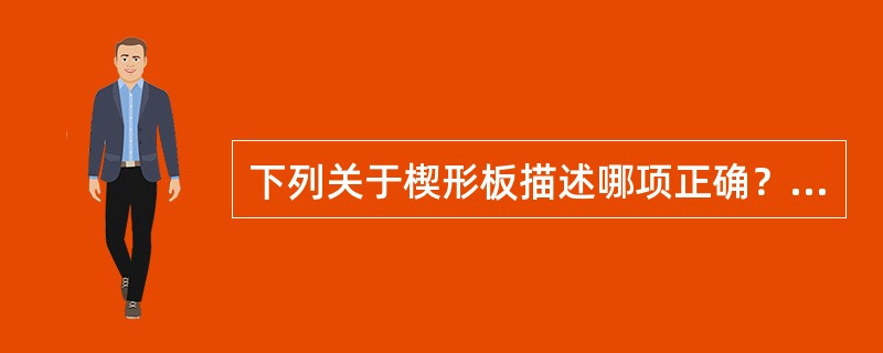下列关于楔形板描述哪项正确？（　　）
