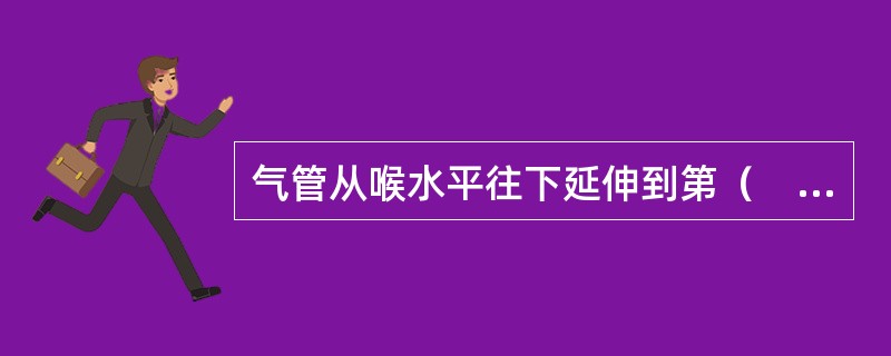 气管从喉水平往下延伸到第（　　）胸椎体水平形成隆突，分左、右支气管入肺。