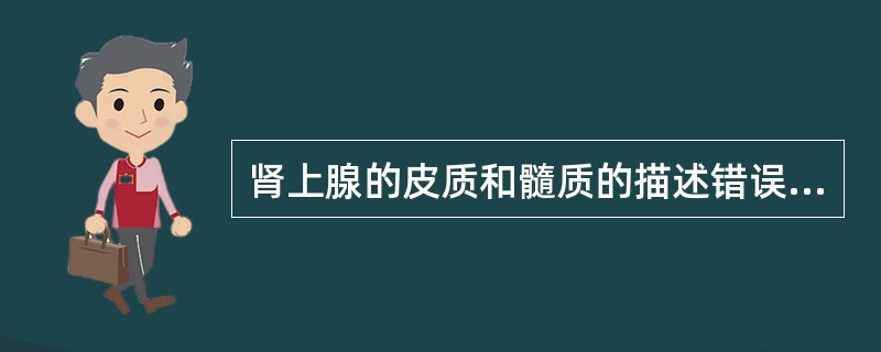 肾上腺的皮质和髓质的描述错误的是（　　）。