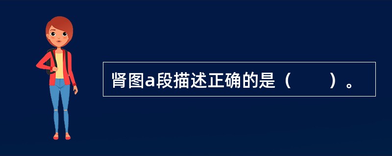 肾图a段描述正确的是（　　）。