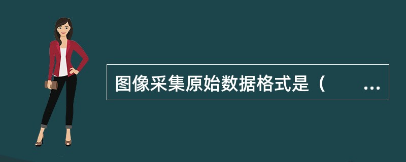 图像采集原始数据格式是（　　）。 