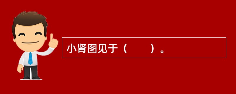 小肾图见于（　　）。 