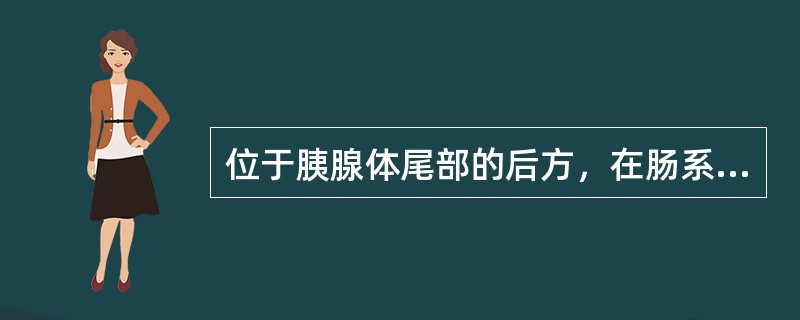 位于胰腺体尾部的后方，在肠系膜上动脉的前方，称为（　　）。