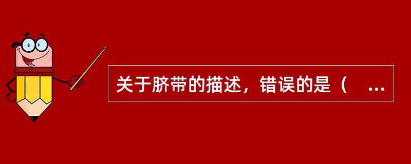 关于脐带的描述，错误的是（　　）。