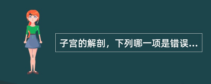 子宫的解剖，下列哪一项是错误的？（　　）