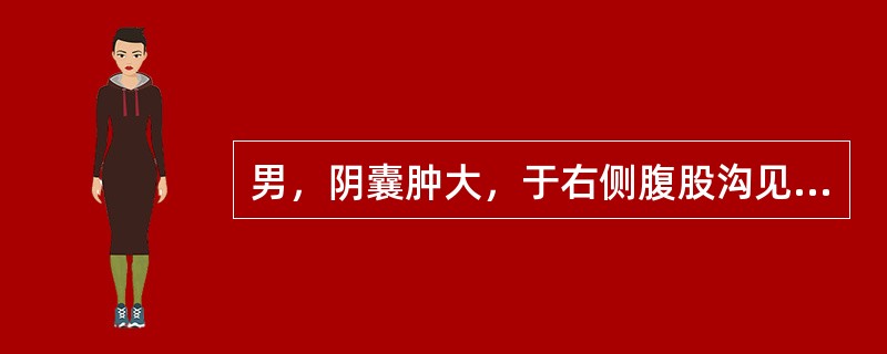 男，阴囊肿大，于右侧腹股沟见一混杂回声光团，探头压可回纳腹腔。如图所示，考虑为（　　）。<br /><img border="0" style="wid