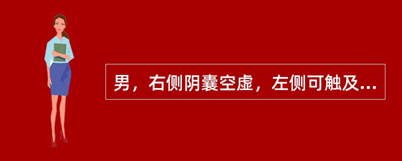 男，右侧阴囊空虚，左侧可触及，于腹腔见一个椭圆形低回声光团，边界清晰，回声尚均匀，CDFI：血流信号丰富。如图所示，考虑为<img border="0" style=&quo