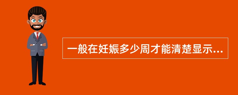 一般在妊娠多少周才能清楚显示胎头光环？（　　）